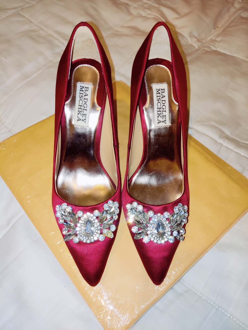 Badgley Mischka Serra Evening Pumps in Burgundy Satin Stilettos with crystal